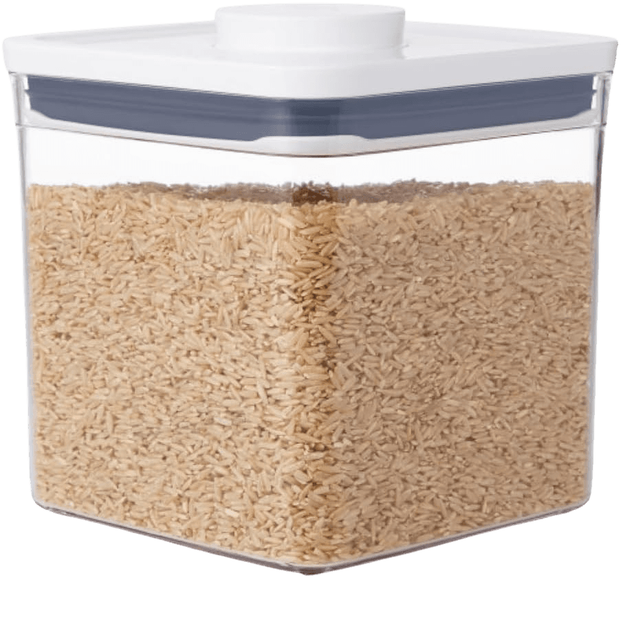 OXO Good Grips POP 2.6L container